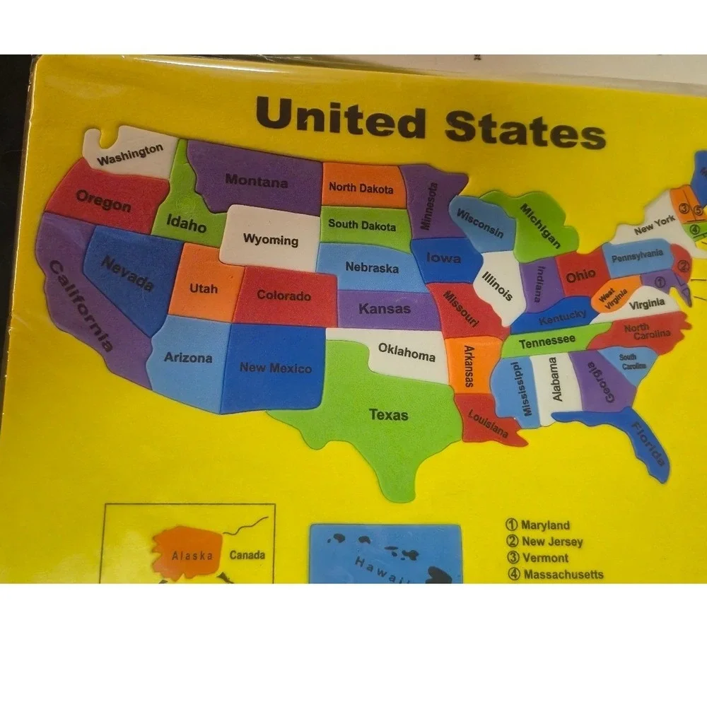 Childs Educational Foam Puzzle Set 4pk US Map Skeleton Brain Digestive System